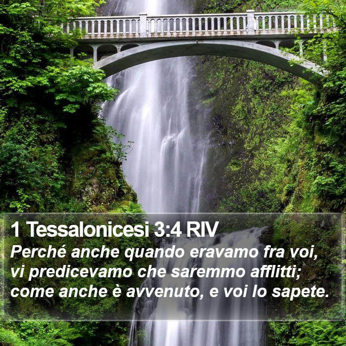 1 Tessalonicesi 3:4 RIV Bible Study