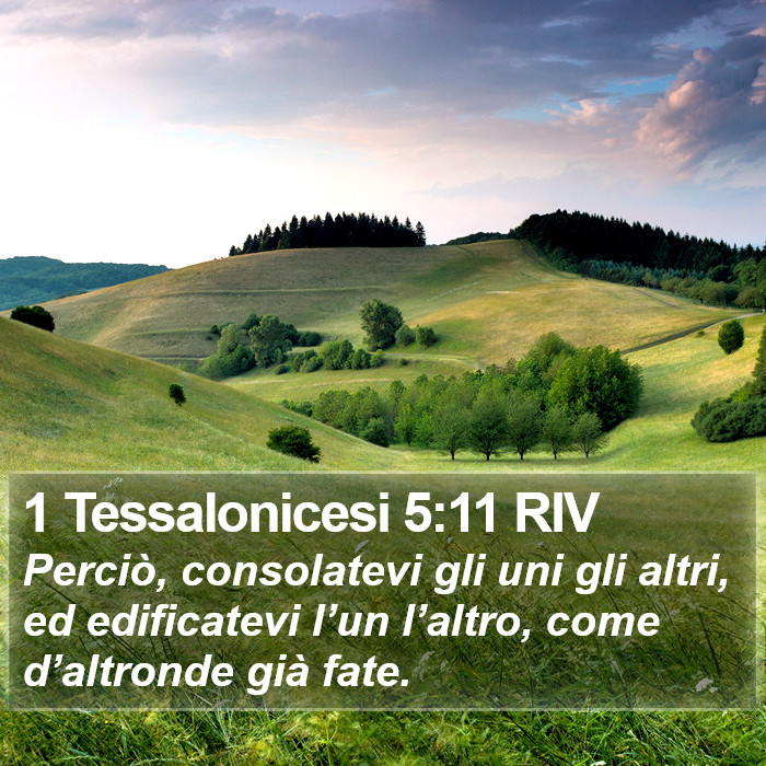 1 Tessalonicesi 5:11 RIV Bible Study