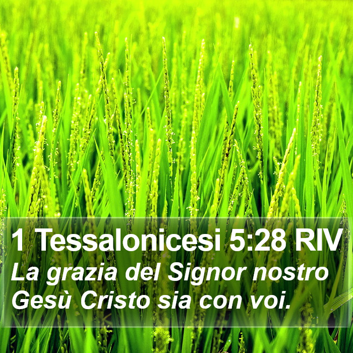 1 Tessalonicesi 5:28 RIV Bible Study