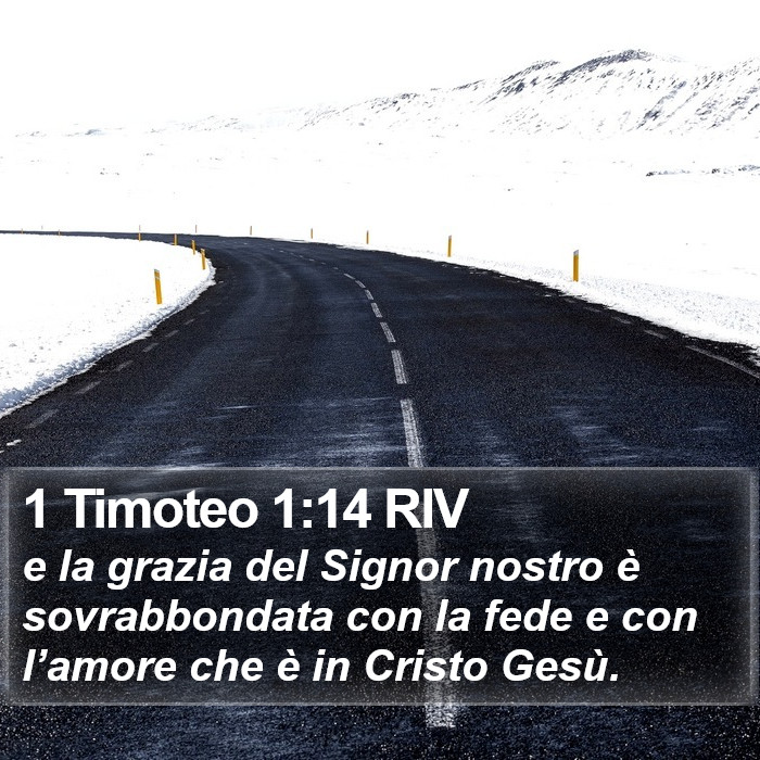 1 Timoteo 1:14 RIV Bible Study