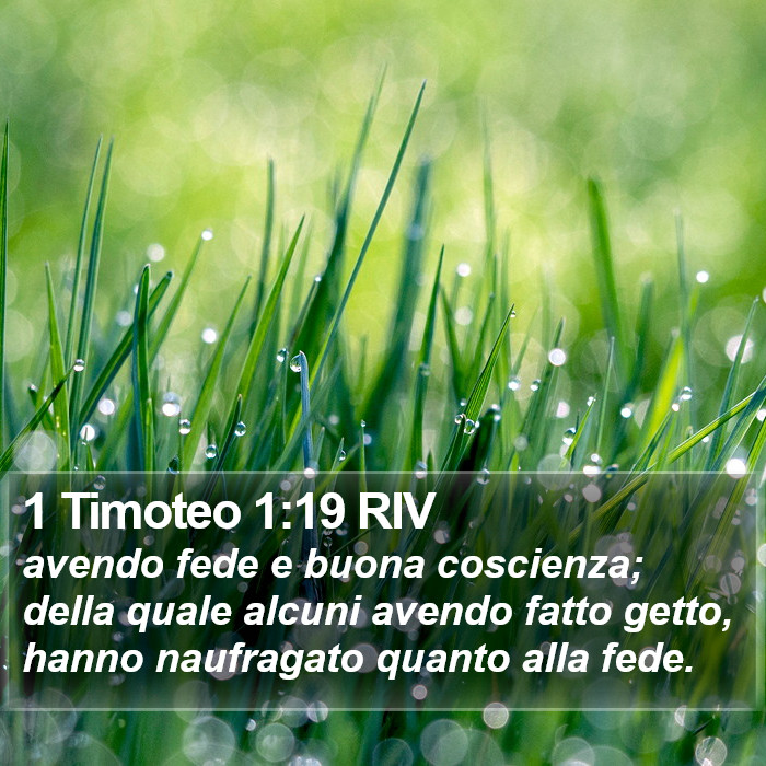 1 Timoteo 1:19 RIV Bible Study