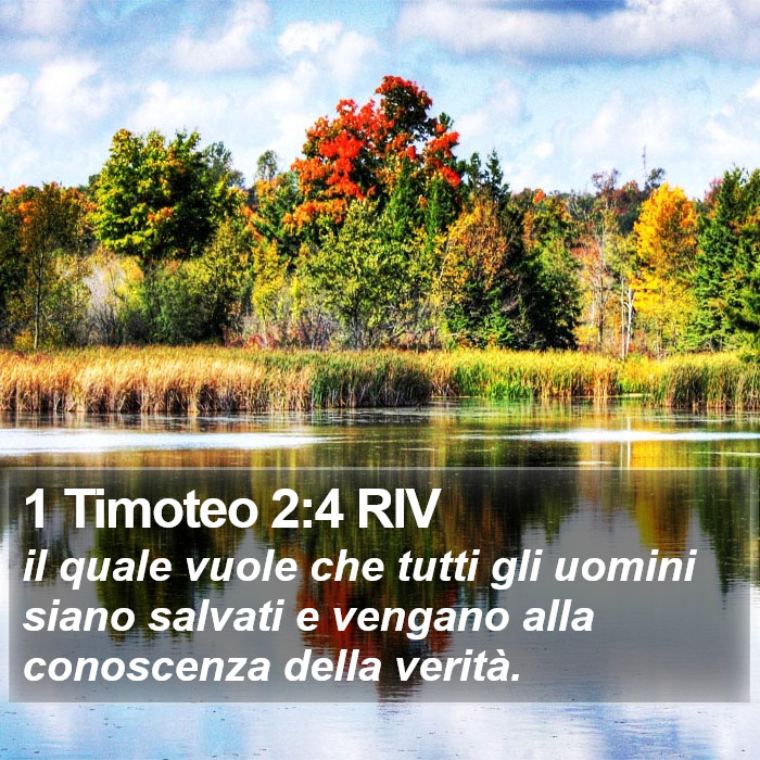 1 Timoteo 2:4 RIV Bible Study