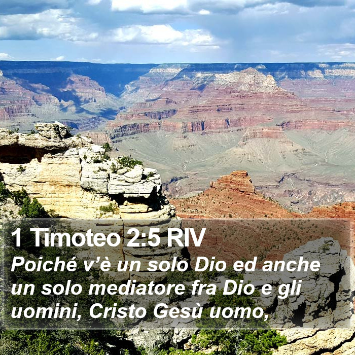 1 Timoteo 2:5 RIV Bible Study