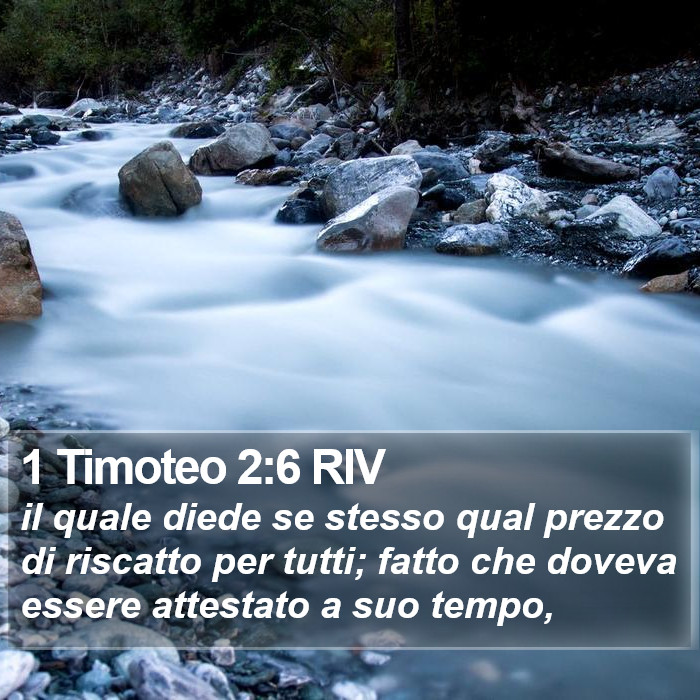 1 Timoteo 2:6 RIV Bible Study