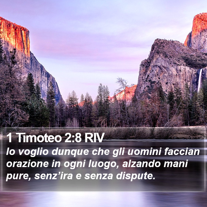 1 Timoteo 2:8 RIV Bible Study