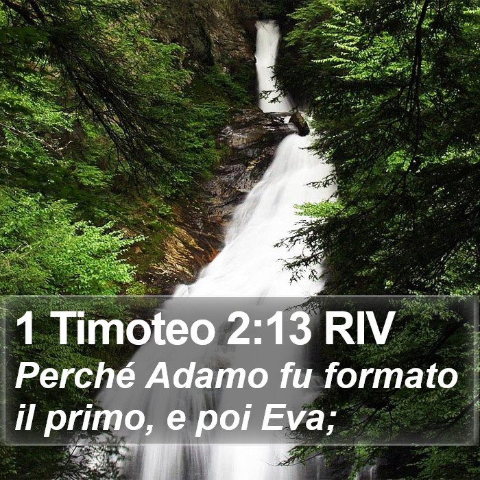 1 Timoteo 2:13 RIV Bible Study