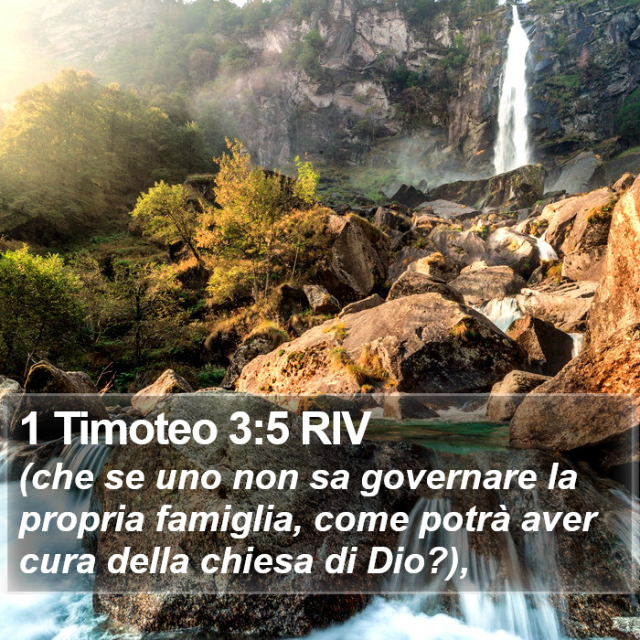 1 Timoteo 3:5 RIV Bible Study