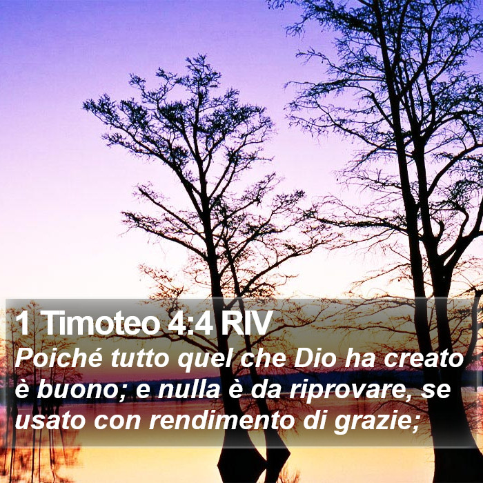 1 Timoteo 4:4 RIV Bible Study