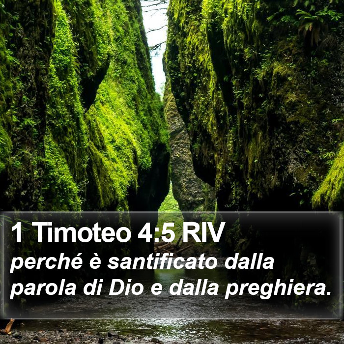 1 Timoteo 4:5 RIV Bible Study