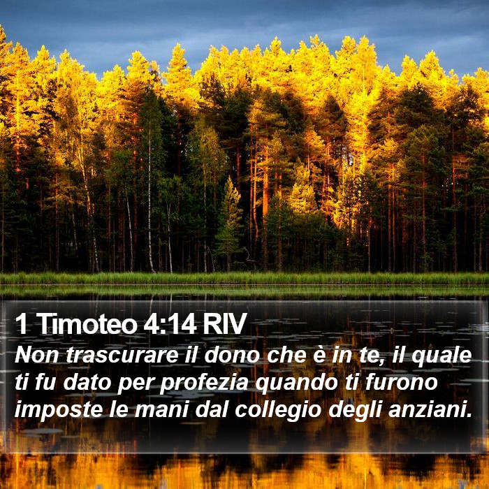 1 Timoteo 4:14 RIV Bible Study