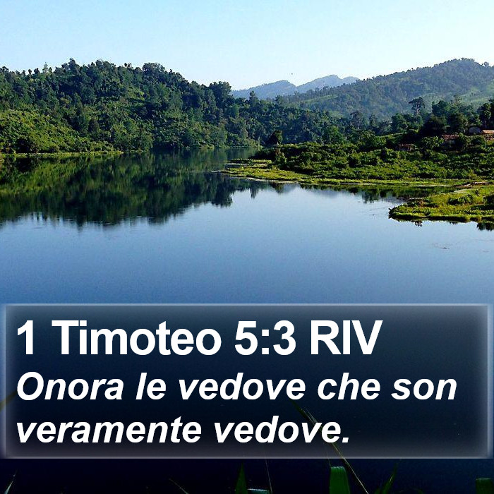 1 Timoteo 5:3 RIV Bible Study