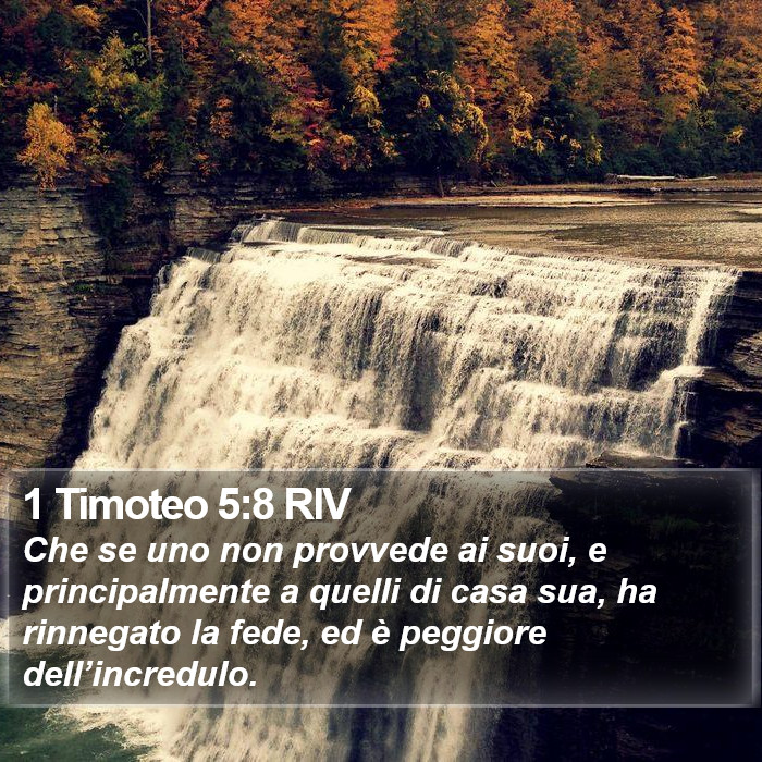 1 Timoteo 5:8 RIV Bible Study