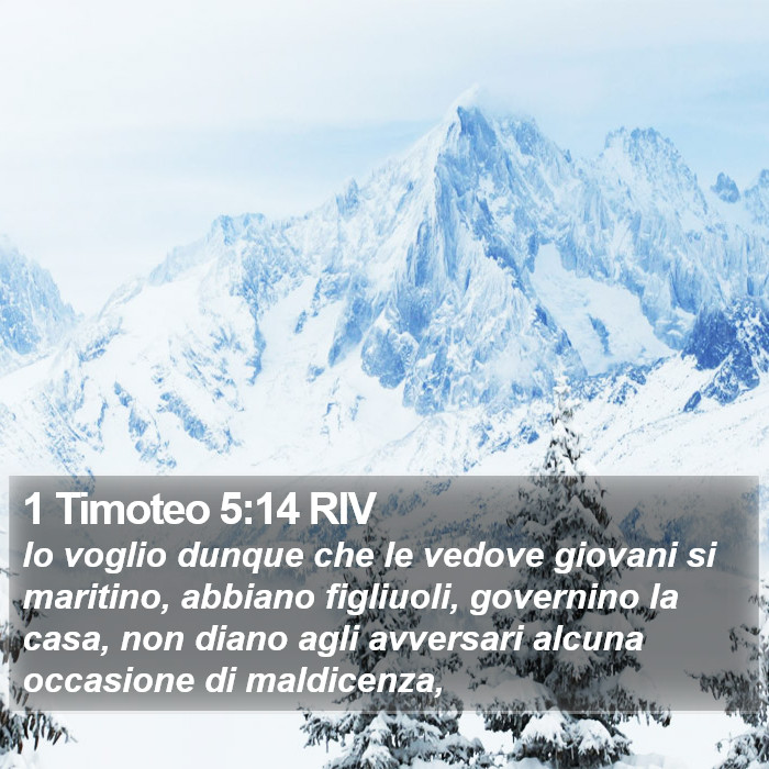 1 Timoteo 5:14 RIV Bible Study