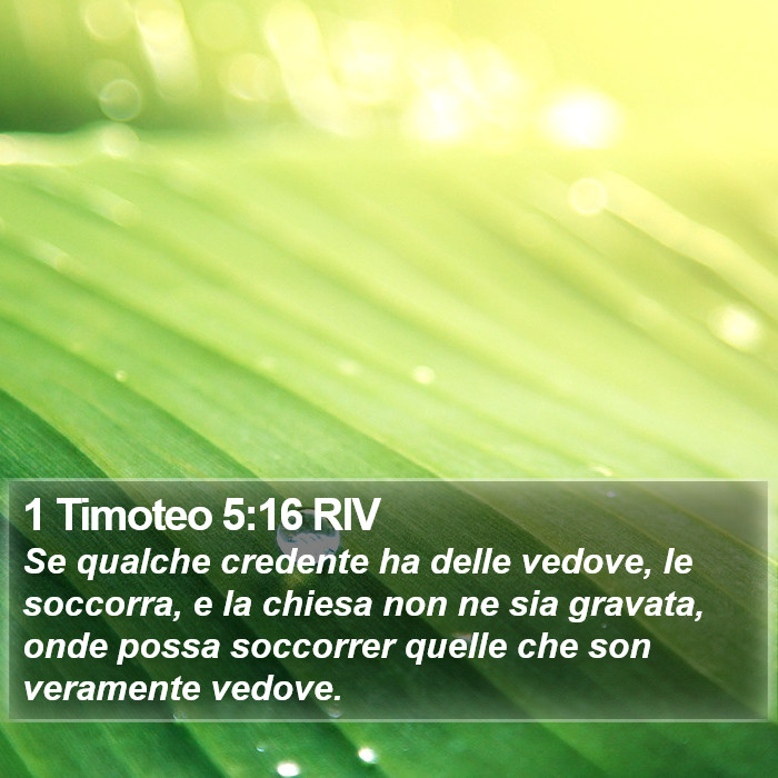 1 Timoteo 5:16 RIV Bible Study