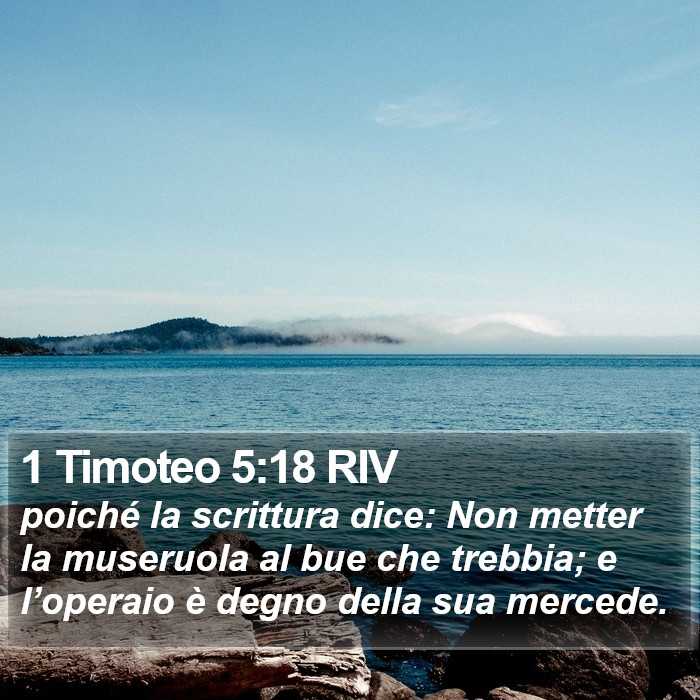 1 Timoteo 5:18 RIV Bible Study