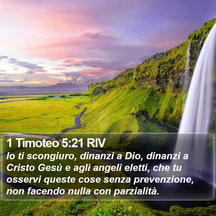 1 Timoteo 5:21 RIV Bible Study