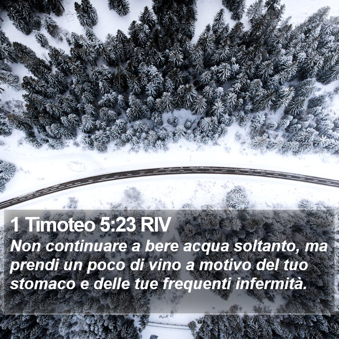 1 Timoteo 5:23 RIV Bible Study