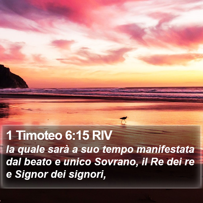 1 Timoteo 6:15 RIV Bible Study