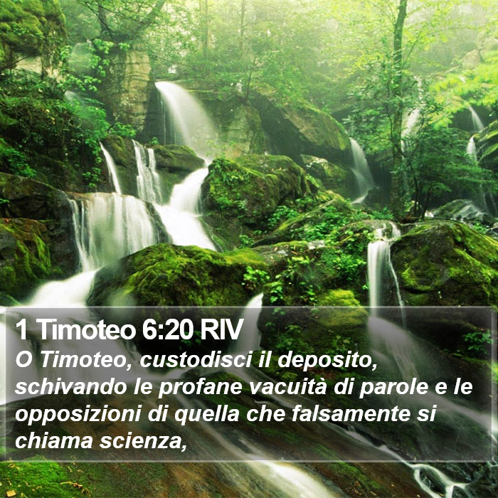 1 Timoteo 6:20 RIV Bible Study