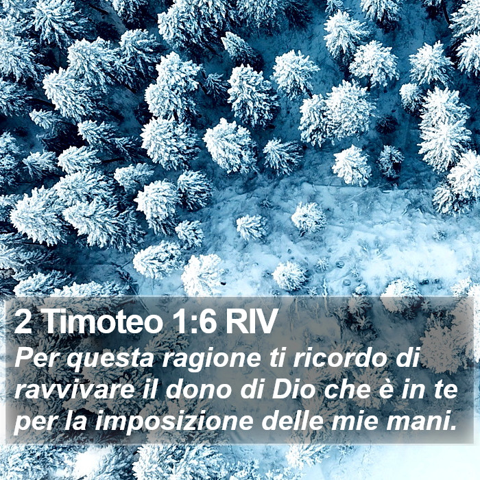 2 Timoteo 1:6 RIV Bible Study