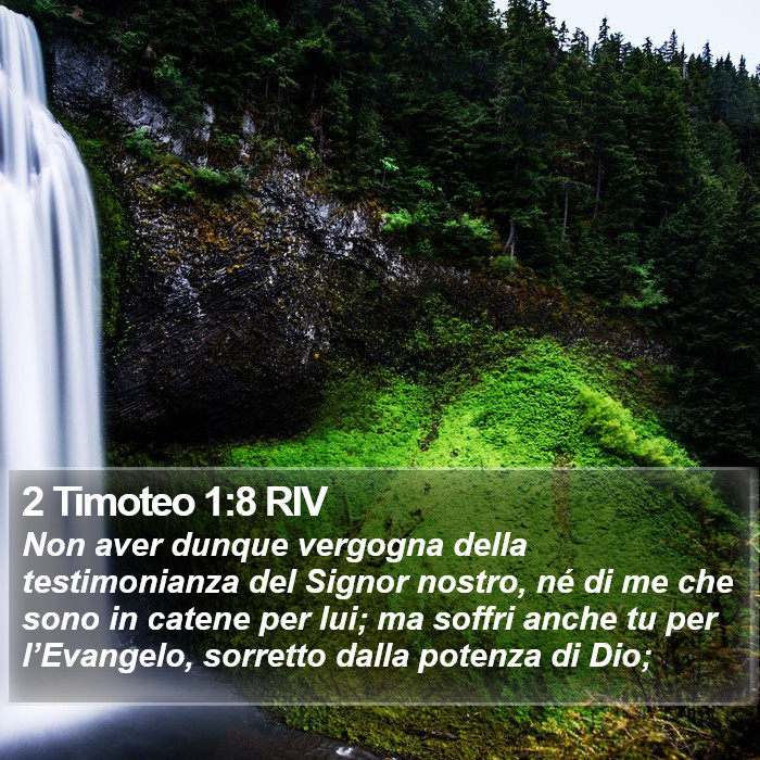 2 Timoteo 1:8 RIV Bible Study