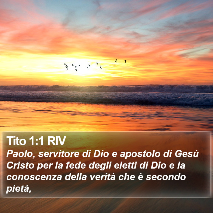 Tito 1:1 RIV Bible Study