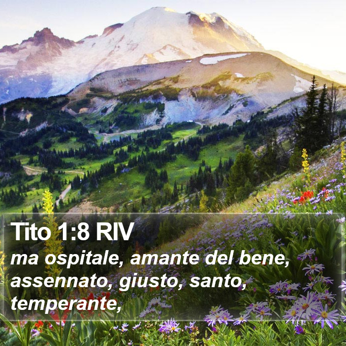 Tito 1:8 RIV Bible Study