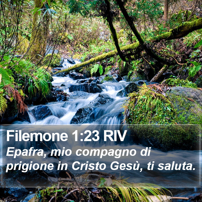 Filemone 1:23 RIV Bible Study