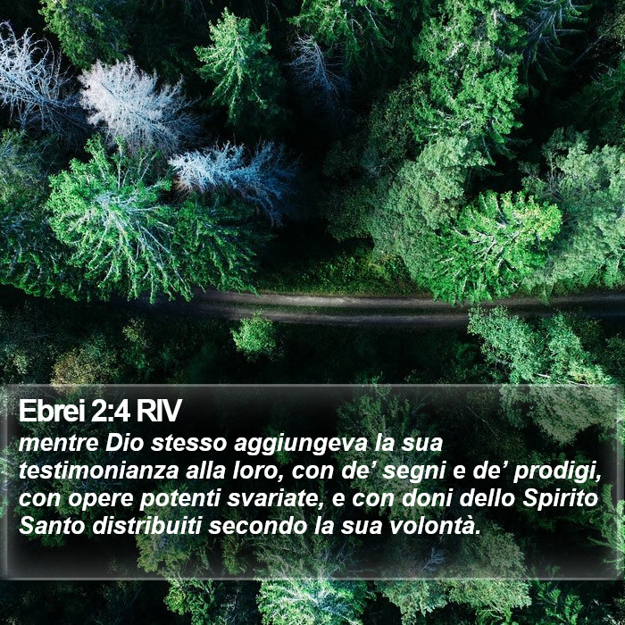 Ebrei 2:4 RIV Bible Study