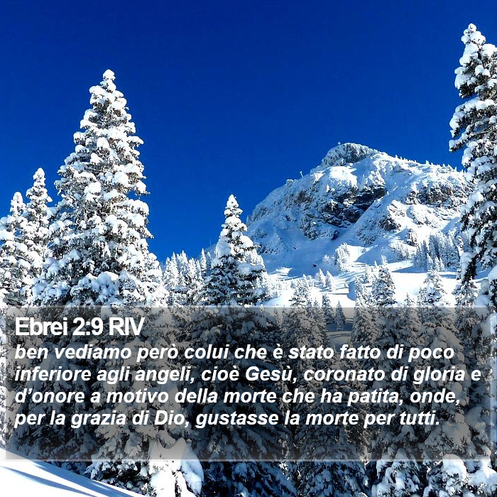 Ebrei 2:9 RIV Bible Study