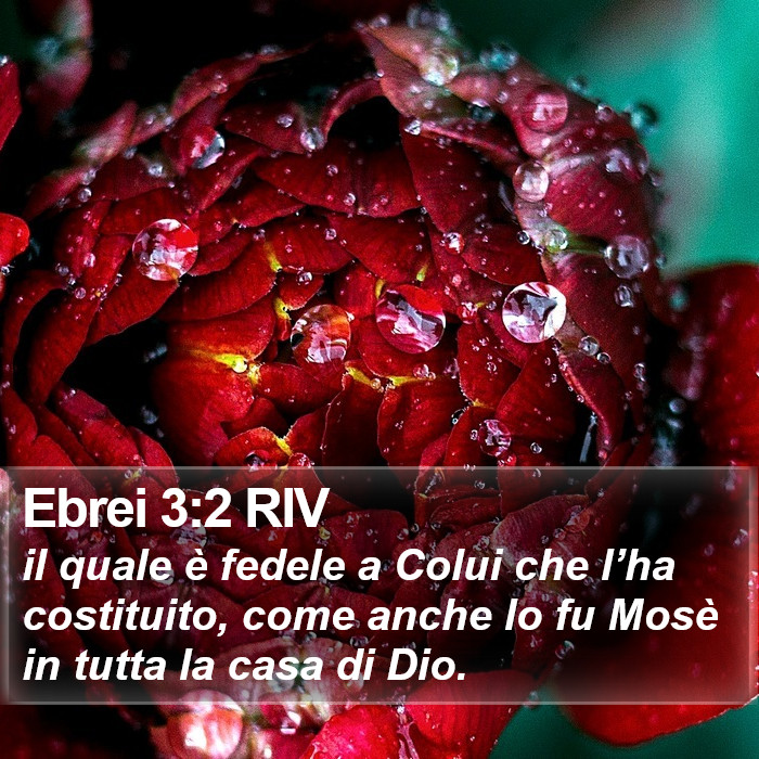Ebrei 3:2 RIV Bible Study