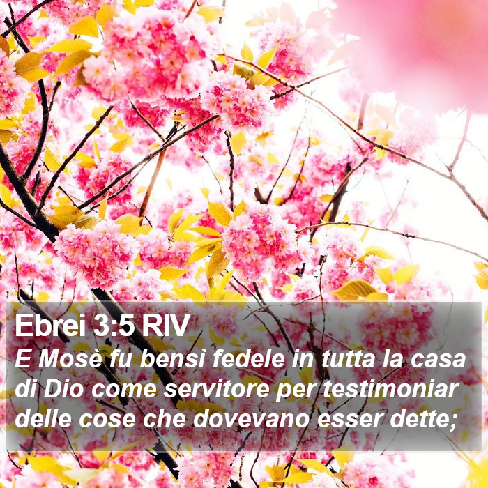 Ebrei 3:5 RIV Bible Study