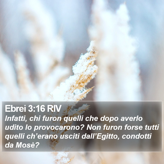 Ebrei 3:16 RIV Bible Study