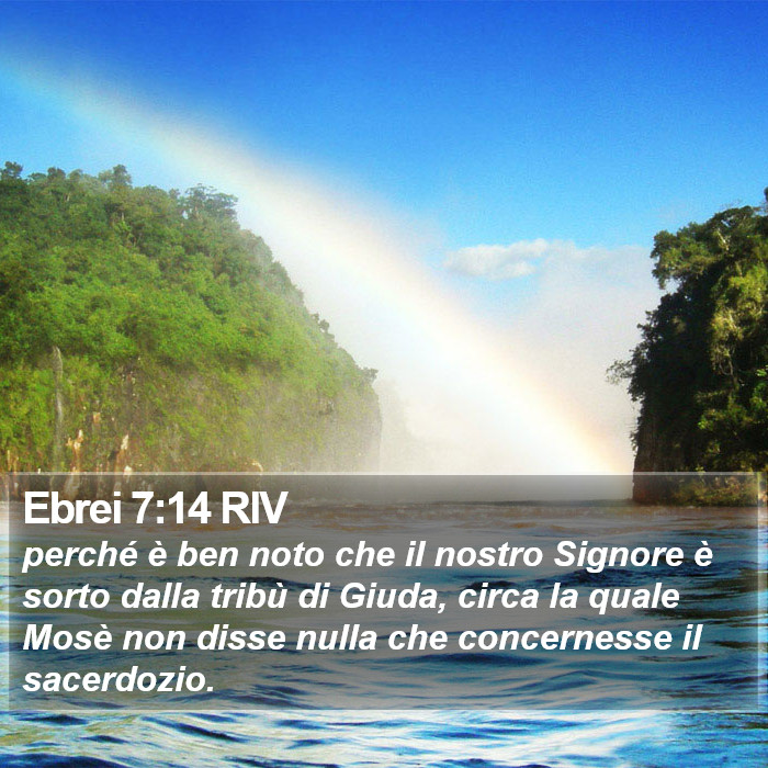 Ebrei 7:14 RIV Bible Study