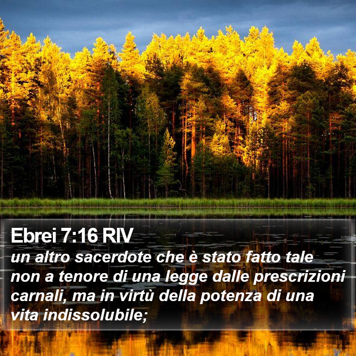 Ebrei 7:16 RIV Bible Study