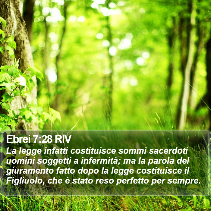 Ebrei 7:28 RIV Bible Study