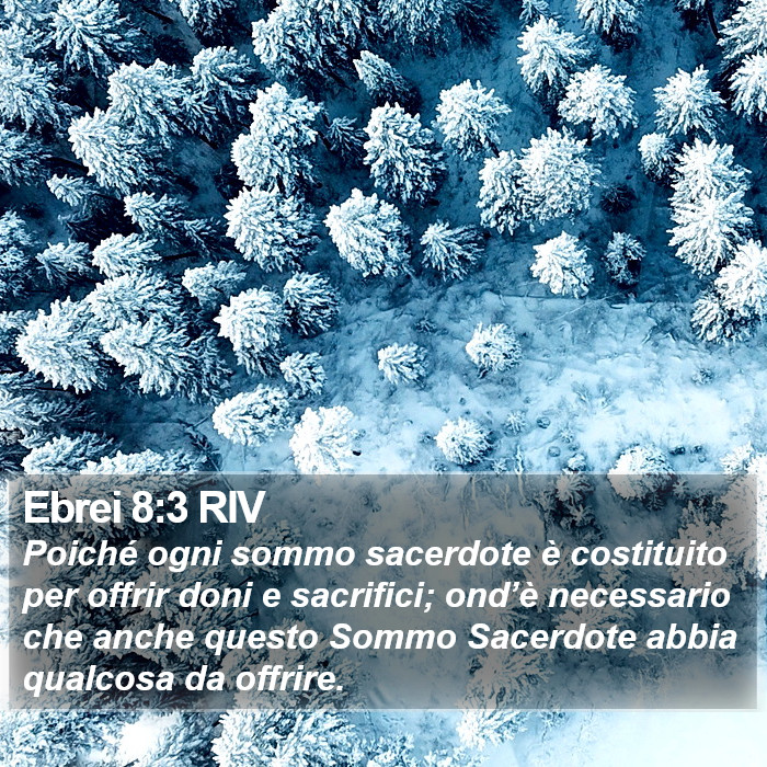 Ebrei 8:3 RIV Bible Study