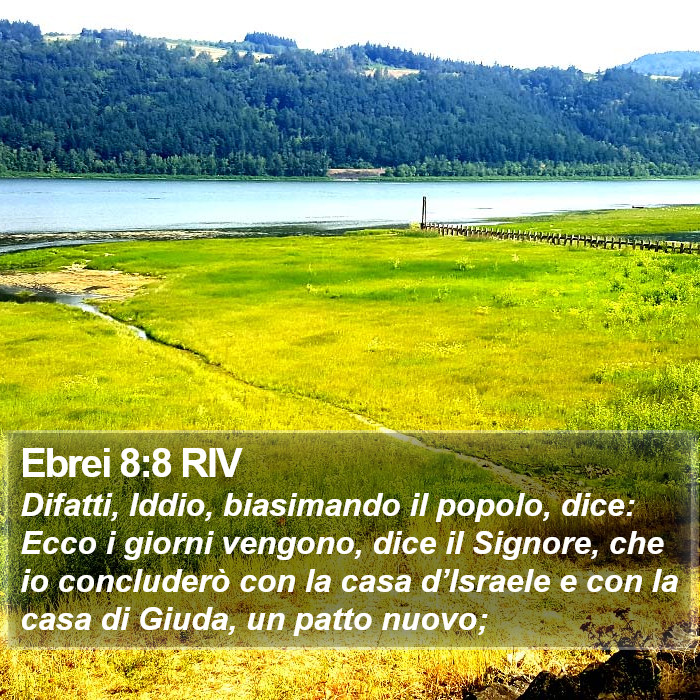 Ebrei 8:8 RIV Bible Study