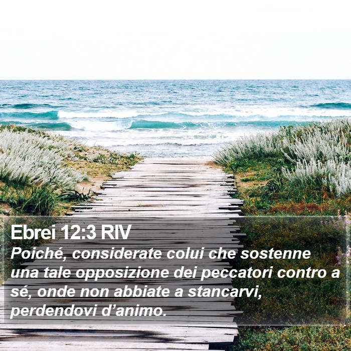 Ebrei 12:3 RIV Bible Study