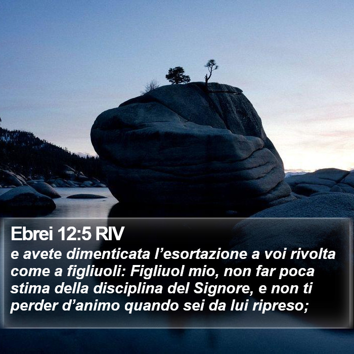 Ebrei 12:5 RIV Bible Study