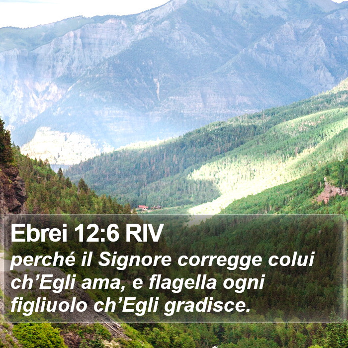 Ebrei 12:6 RIV Bible Study