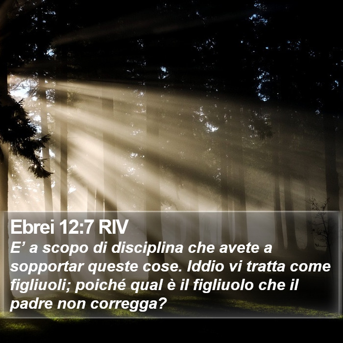 Ebrei 12:7 RIV Bible Study