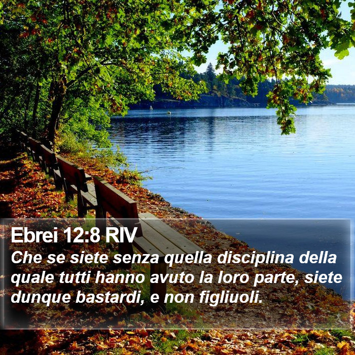 Ebrei 12:8 RIV Bible Study