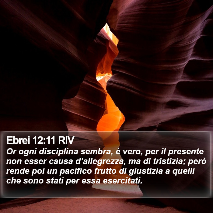 Ebrei 12:11 RIV Bible Study