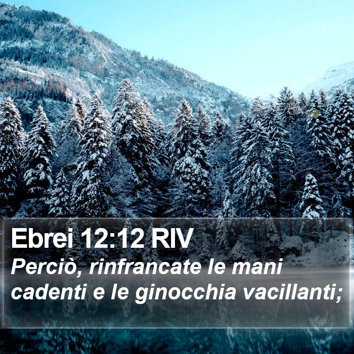 Ebrei 12:12 RIV Bible Study