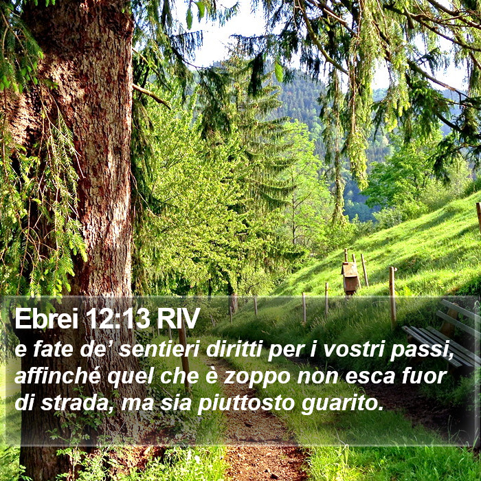 Ebrei 12:13 RIV Bible Study