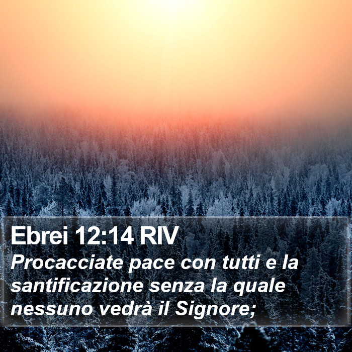 Ebrei 12:14 RIV Bible Study