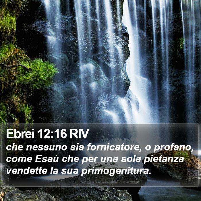 Ebrei 12:16 RIV Bible Study