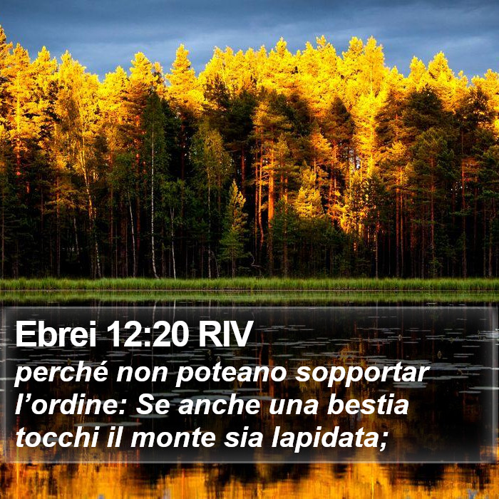 Ebrei 12:20 RIV Bible Study