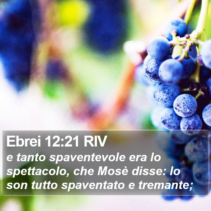 Ebrei 12:21 RIV Bible Study